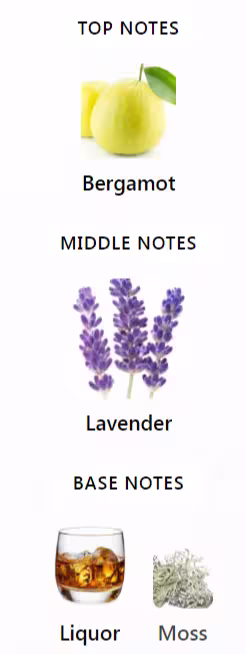 Azzaro The Most Wanted EDT Intense Notes