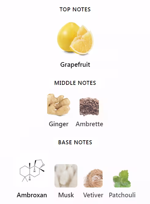 Bvlgari Le Gemme Tygar Notes