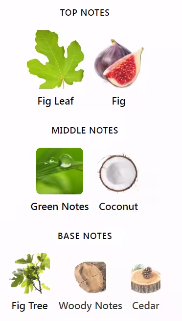 Diptyque Philosykos notes