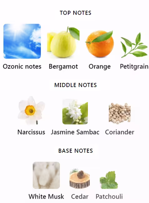 Acqua di Parma Colonia Pura Notes