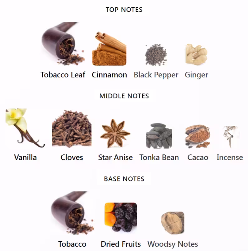 Amber Oud Tobacco Edition Notes