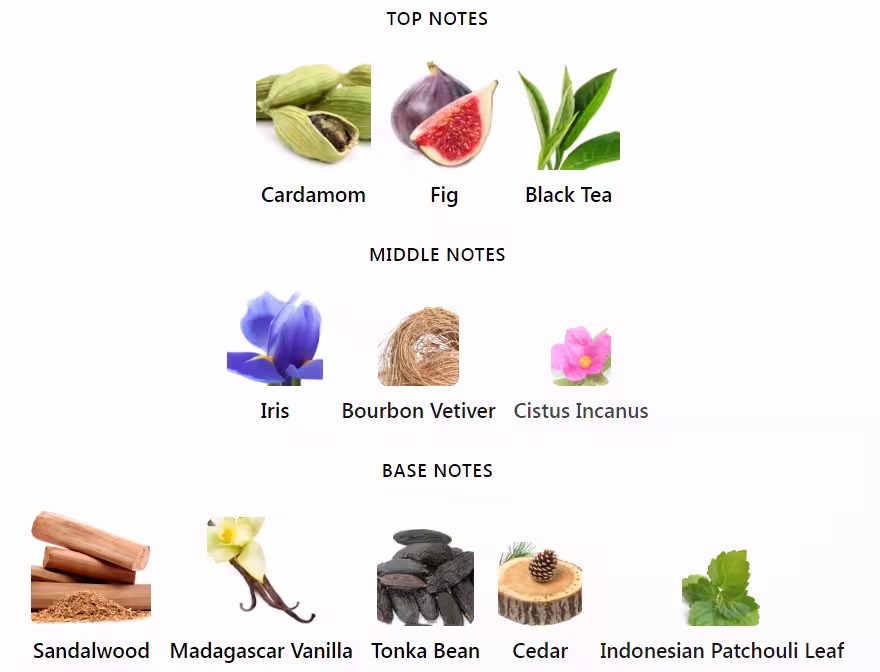 Gris Charnel Extrait by BDK Parfums Notes