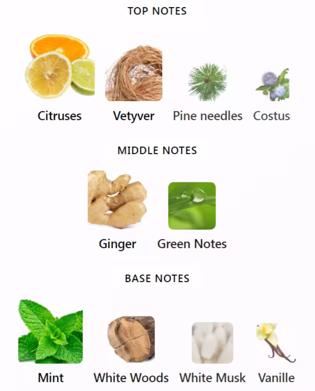 The Exclusives Intuitive Notes