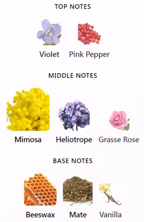 Essences Insensees Diptyque Notes